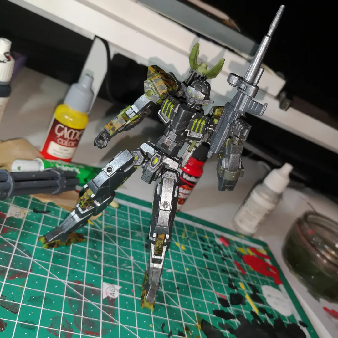 Gundam custom build